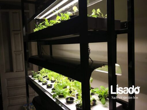 Đèn Led trồng rau sạch trong nhà chuyên dụng - An toàn, tiết kiệm điện
