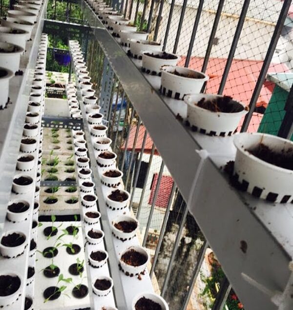 Công trình trồng rau thủy canh tại nhà chị Quyên, phố Huế, Hà Nội