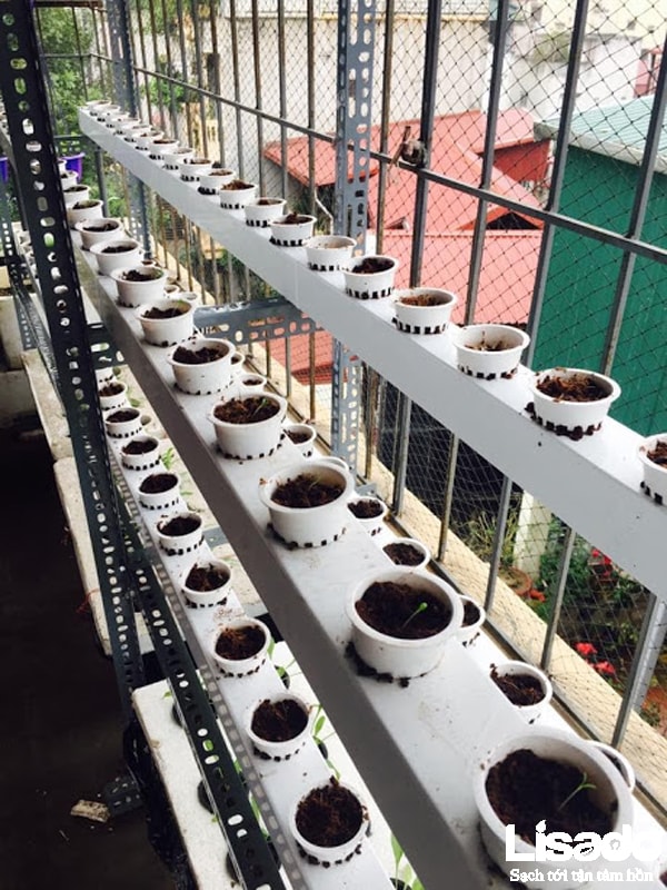 Lisado ứng dụng phương pháp thủy canh hồi lưu cho công trình trồng rau thủy canh tại nhà chị Quyên, phố Huế, Hà Nội