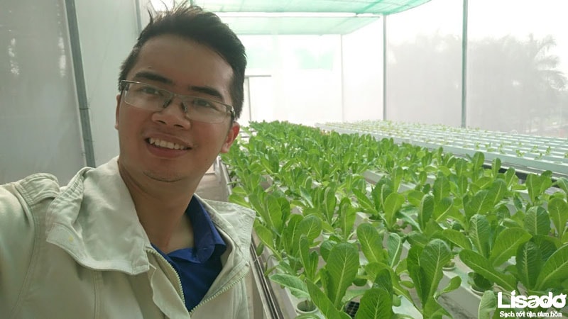 Dự án trồng rau thủy canh sạch tại công ty Hamatra Mê Linh - Hà Nội