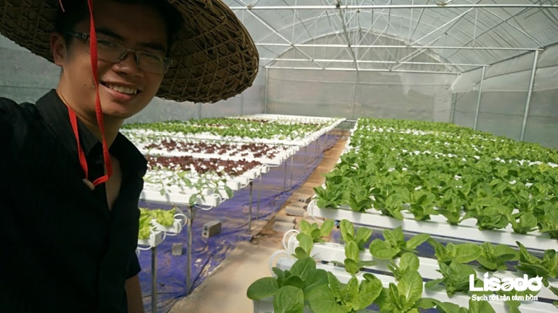 Dự án trồng rau thuỷ canh sản xuất rau sạch tại Mèo Vạc - Hà Giang