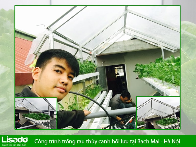 Công trình trồng rau thủy canh hồi lưu tại Bạch Mai - Hà Nội