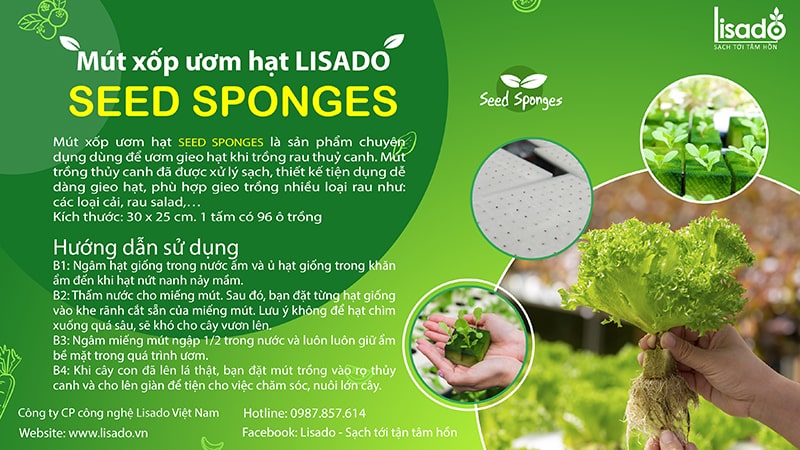 Nhãn mút xốp ươm hạt Seed Sponges