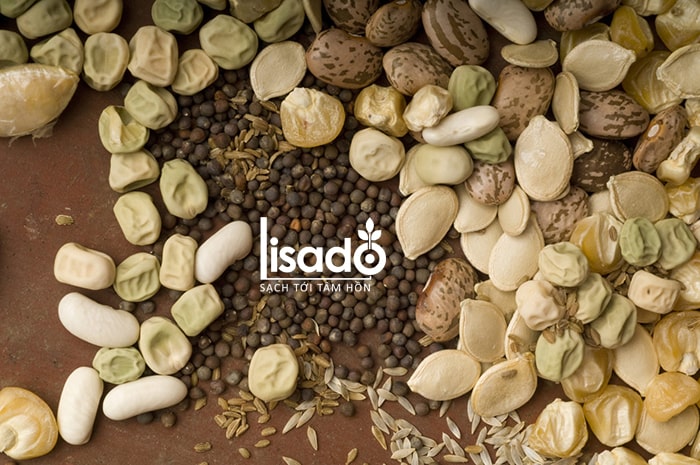 Các loại hạt giống được bán ở Lisado