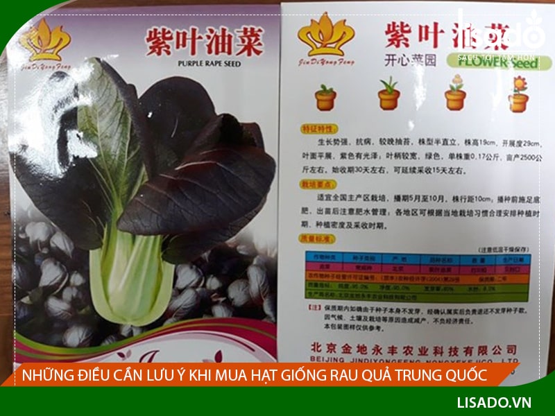 Những điều cần lưu ý khi mua hạt giống rau quả Trung Quốc