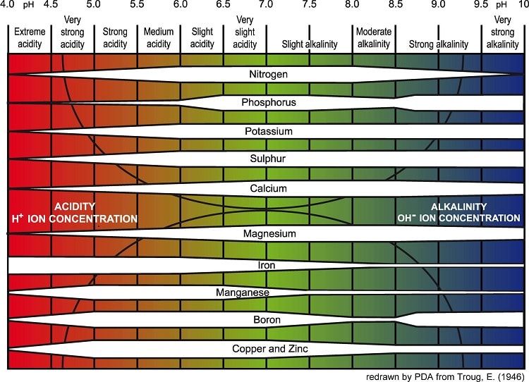 Các thông số đánh giá nồng độ pH trong môi trường thủy canh