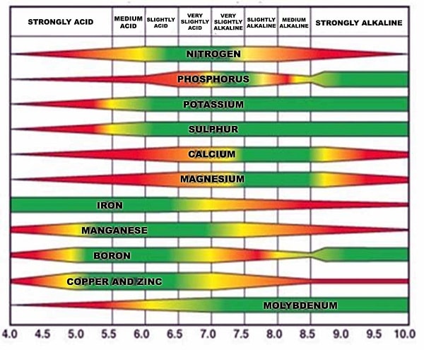 Những yếu tố ảnh hưởng đến độ pH trong dung dịch thủy canh