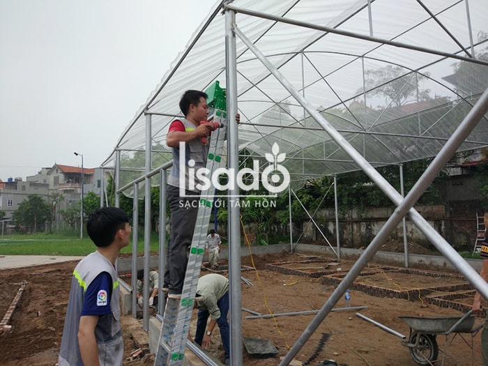 Dự án nhà lưới trồng rau thủy canh NFT Cầu Đuống - Hà Nội