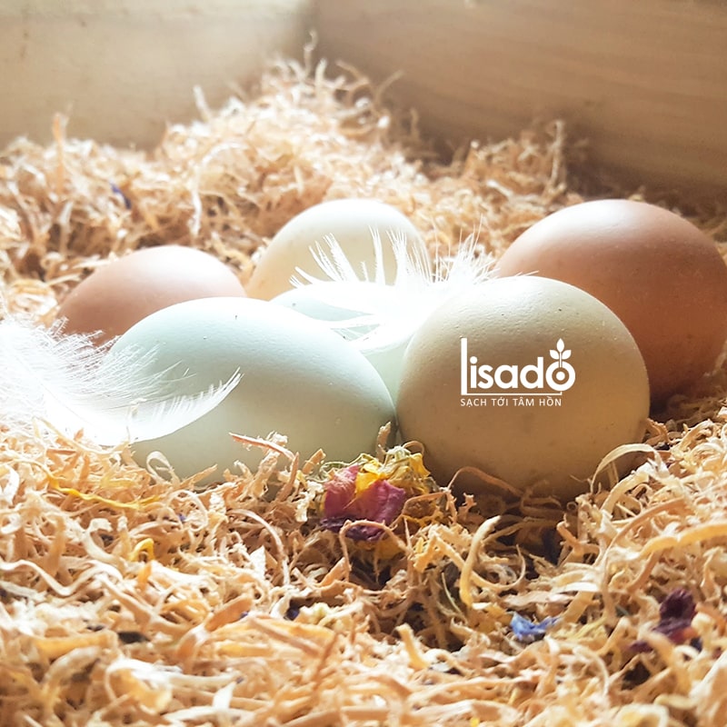 Đặt trứng trong mùn cưa, trấu khô là cách bảo quản thường thấy