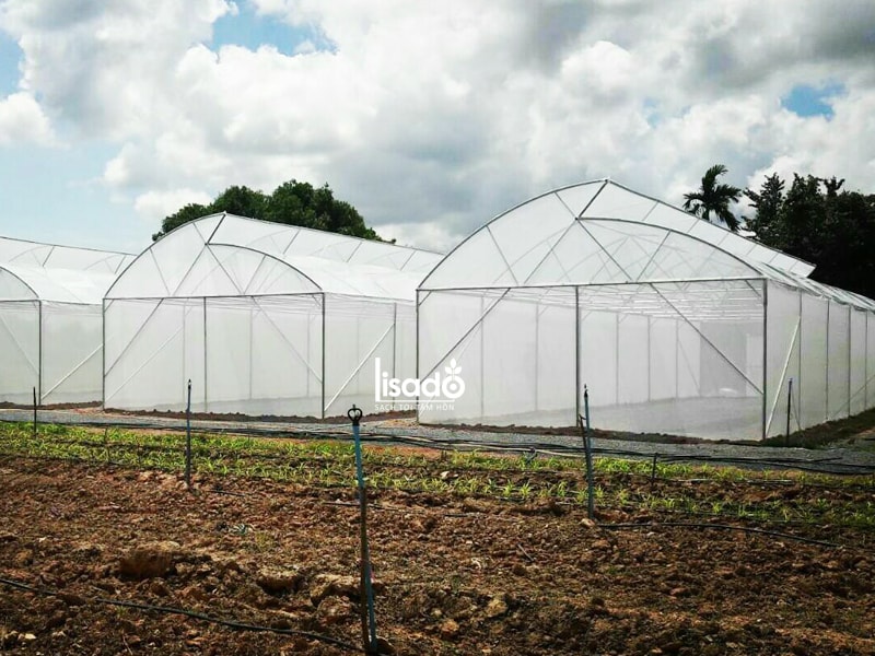 Nhà kính trồng rau 1 mái hở NK-02 | LISADO VIỆT NAM