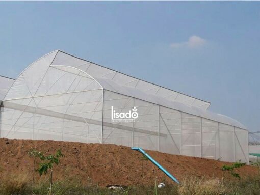 Nhà kính trồng rau 1 mái hở NK-02 | LISADO VIỆT NAM