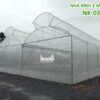 Nhà kính trồng rau 2 mái hở NK-03 cố định | LISADO VIỆT NAM