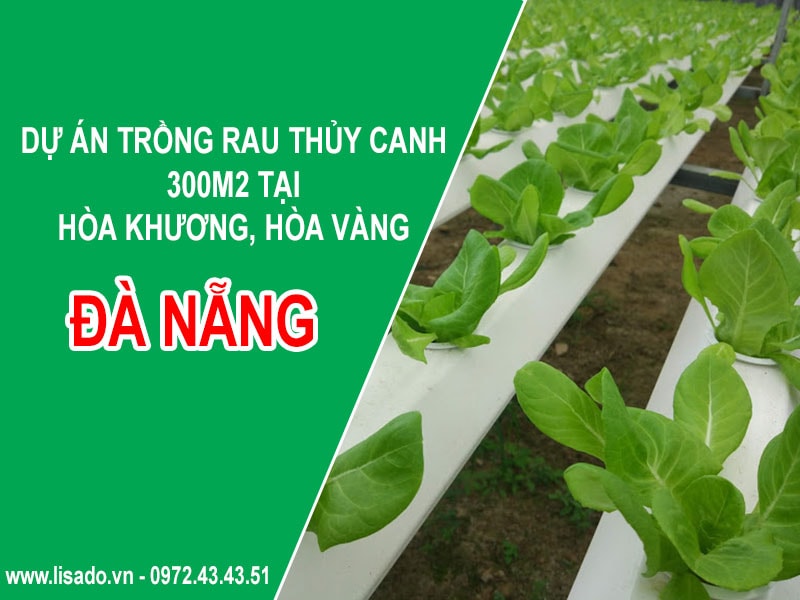 Dự án trồng rau thủy canh 300m2 tại Hòa Vàng, Đà Nẵng