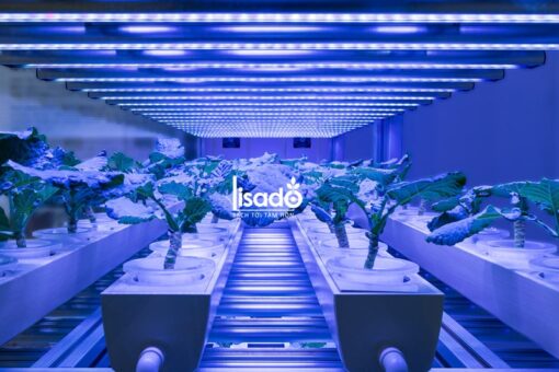 Đèn LED trồng rau, nuôi cấy mô TRR 120/25W-100% BLUE - Rạng Đông